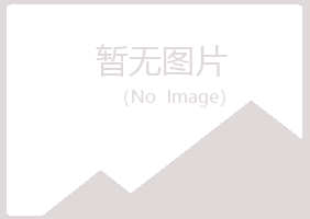 昔阳县女孩律师有限公司